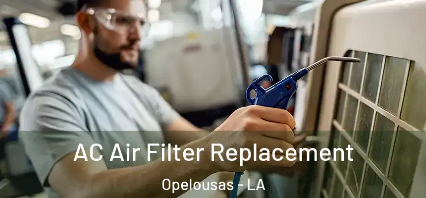 AC Air Filter Replacement Opelousas - LA