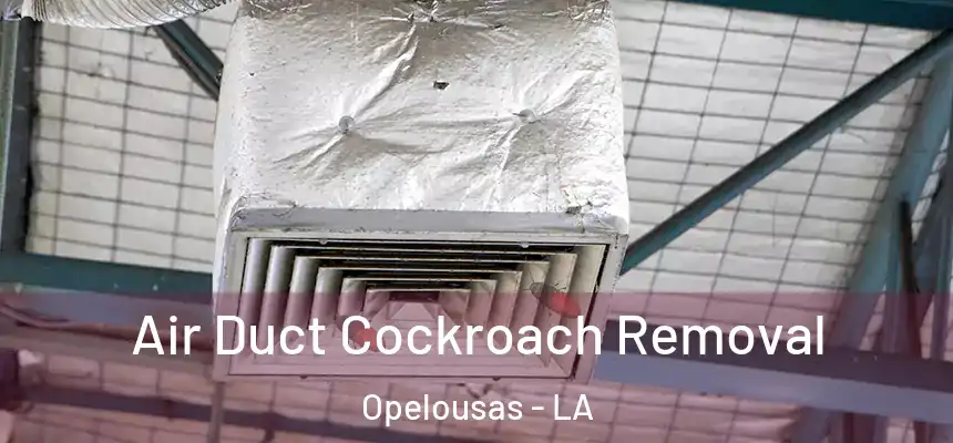 Air Duct Cockroach Removal Opelousas - LA