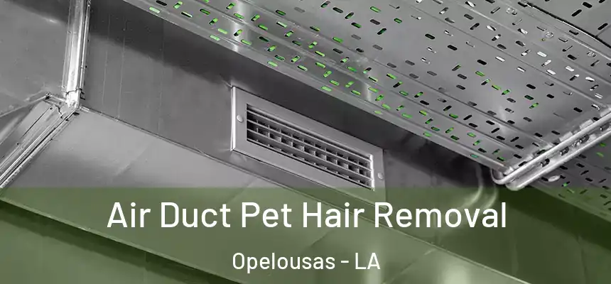 Air Duct Pet Hair Removal Opelousas - LA