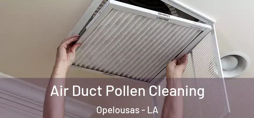  Air Duct Pollen Cleaning Opelousas - LA
