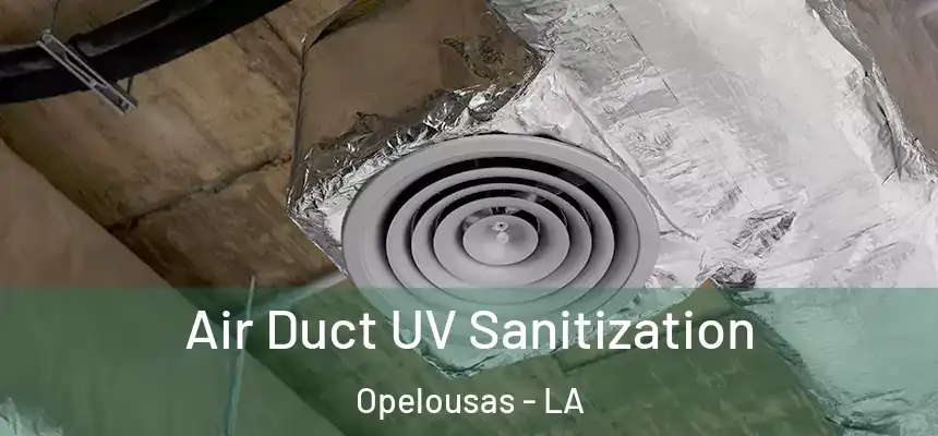 Air Duct UV Sanitization Opelousas - LA