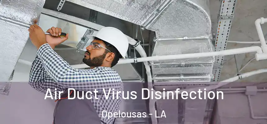  Air Duct Virus Disinfection Opelousas - LA