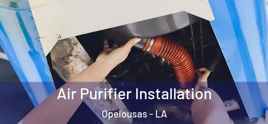 Air Purifier Installation Opelousas - LA