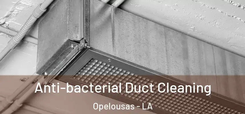 Anti-bacterial Duct Cleaning Opelousas - LA