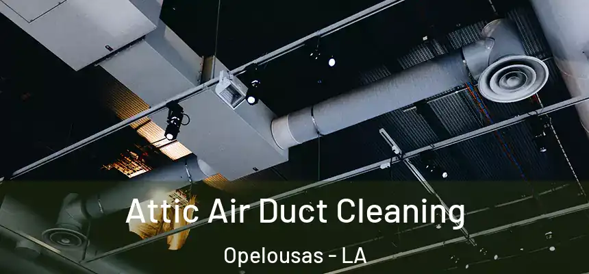 Attic Air Duct Cleaning Opelousas - LA