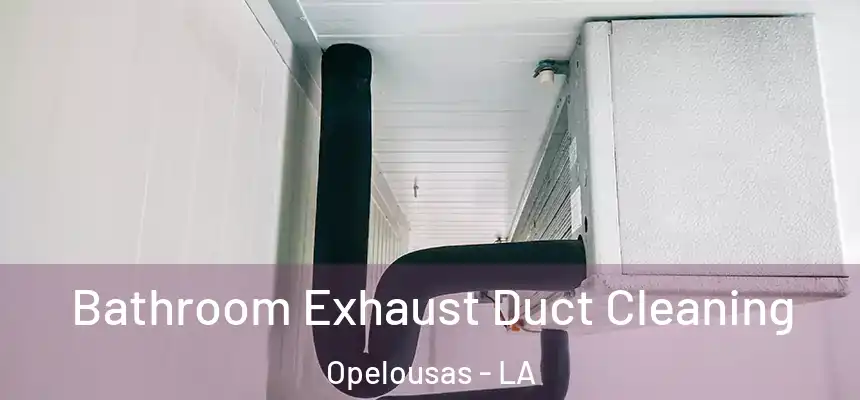 Bathroom Exhaust Duct Cleaning Opelousas - LA