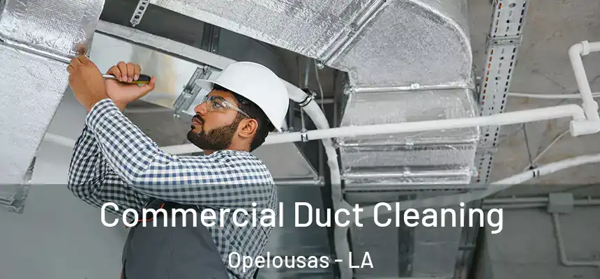 Commercial Duct Cleaning Opelousas - LA