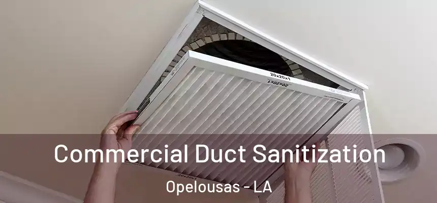  Commercial Duct Sanitization Opelousas - LA