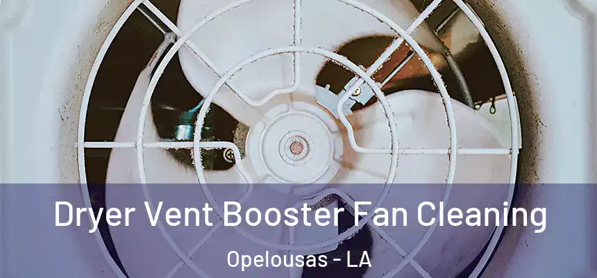 Dryer Vent Booster Fan Cleaning Opelousas - LA
