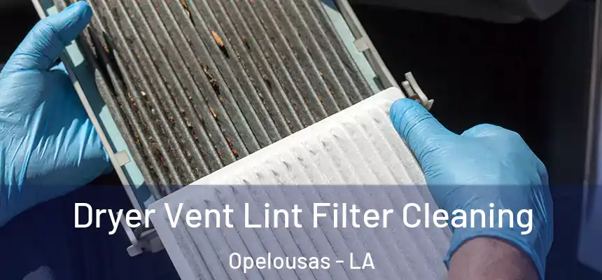 Dryer Vent Lint Filter Cleaning Opelousas - LA