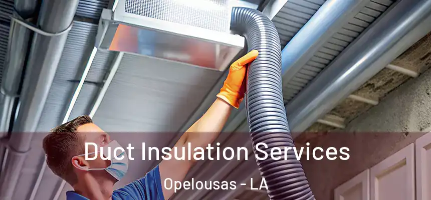 Duct Insulation Services Opelousas - LA