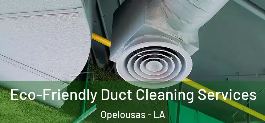 Eco-Friendly Duct Cleaning Services Opelousas - LA
