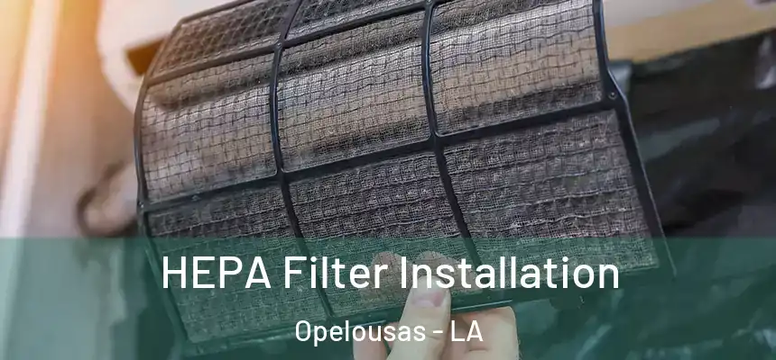 HEPA Filter Installation Opelousas - LA