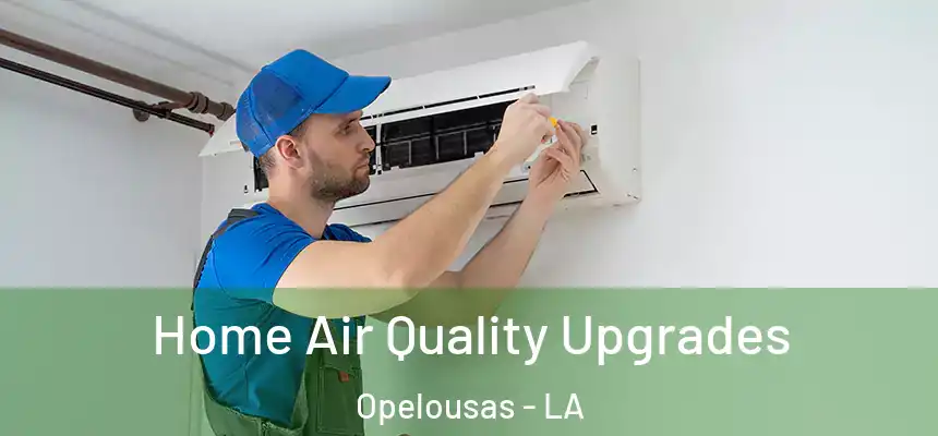  Home Air Quality Upgrades Opelousas - LA