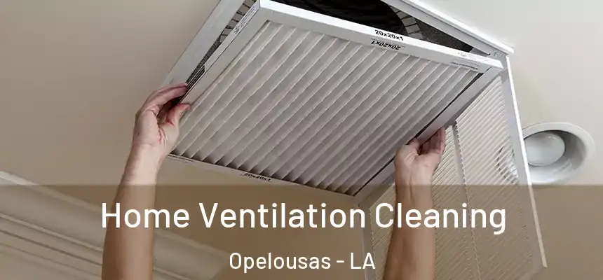Home Ventilation Cleaning Opelousas - LA