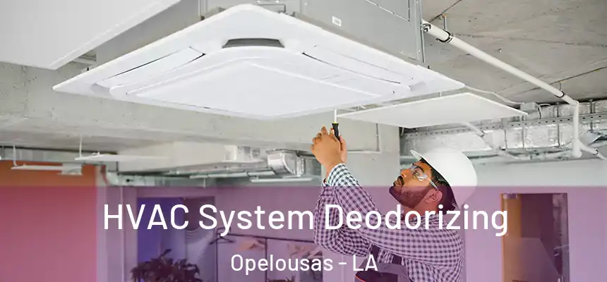 HVAC System Deodorizing Opelousas - LA