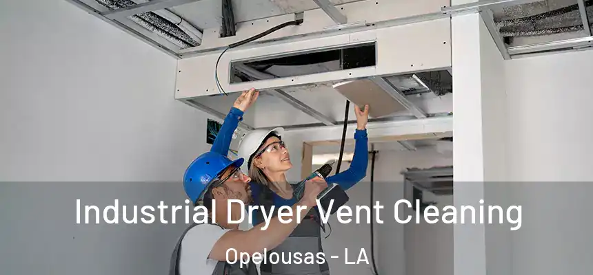 Industrial Dryer Vent Cleaning Opelousas - LA