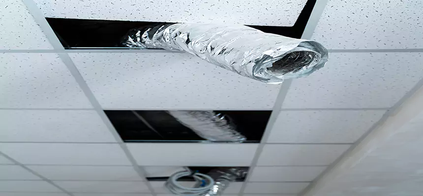 Affordable HVAC Sanitizing After Pest Removal in Opelousas