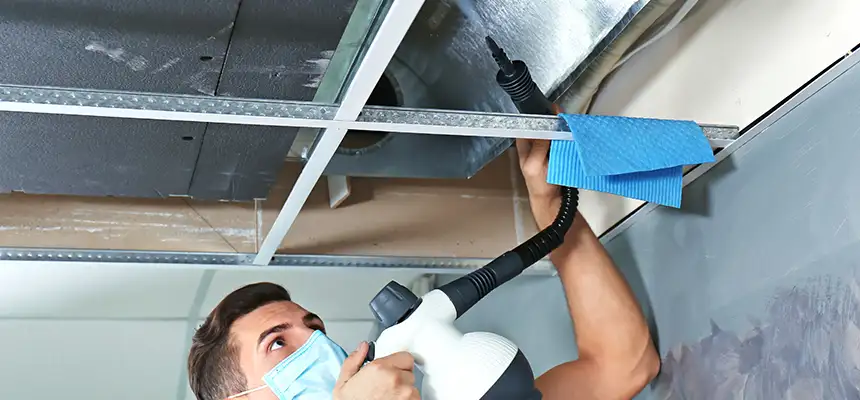Our Air Duct Rodent Removal Services in Opelousas, LA