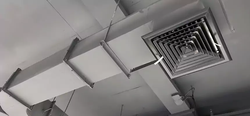 Restorative Allergy Relief Vent Cleaning – Coil, Blower & Housing Detail in Opelousas