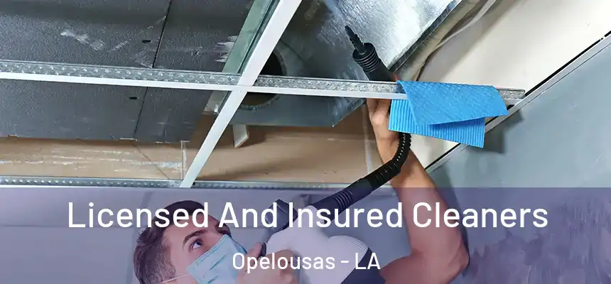 Licensed And Insured Cleaners Opelousas - LA