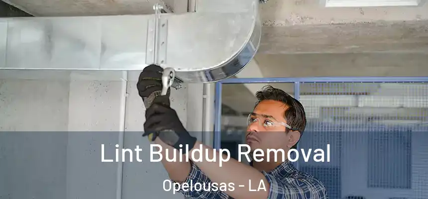  Lint Buildup Removal Opelousas - LA
