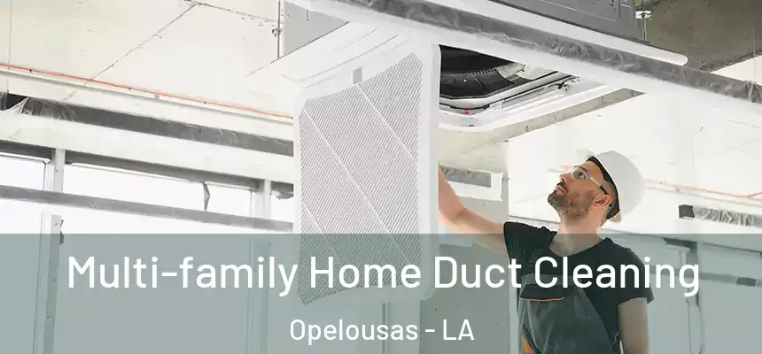 Multi-family Home Duct Cleaning Opelousas - LA