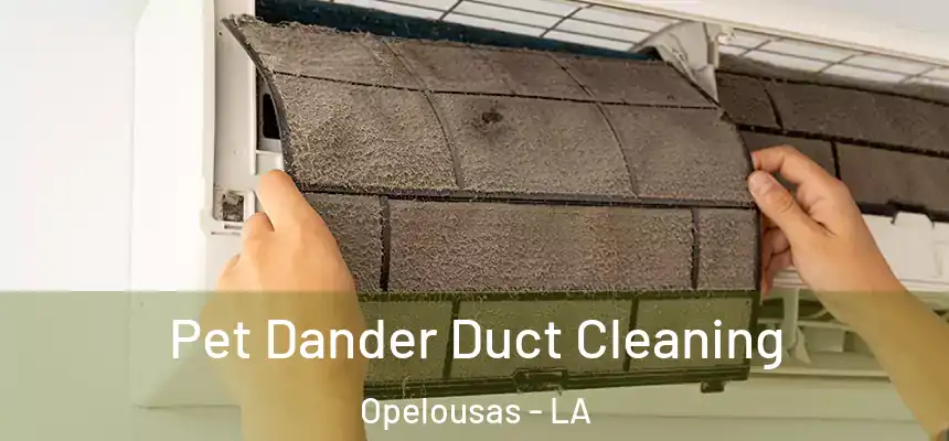 Pet Dander Duct Cleaning Opelousas - LA