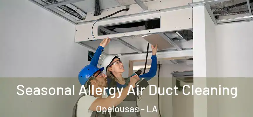 Seasonal Allergy Air Duct Cleaning Opelousas - LA