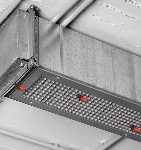 About Air Duct Cockroach Removal in Opelousas, LA