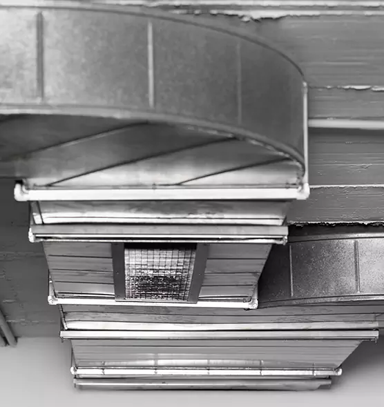 Professional Air Duct Pet Hair Removal in Opelousas, LA