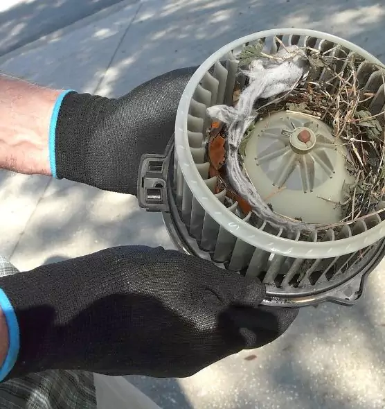 About Air Duct Rat Removal in Opelousas, LA