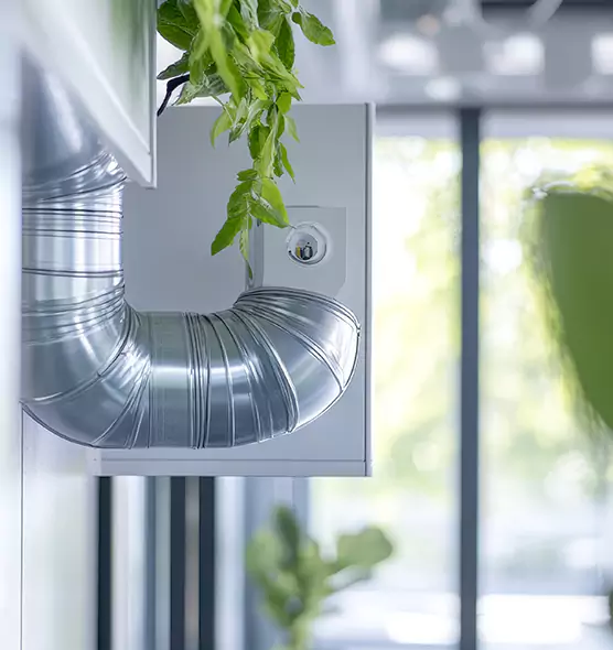 Professional Eco-Safe Dryer Vent Cleaning in Opelousas, LA