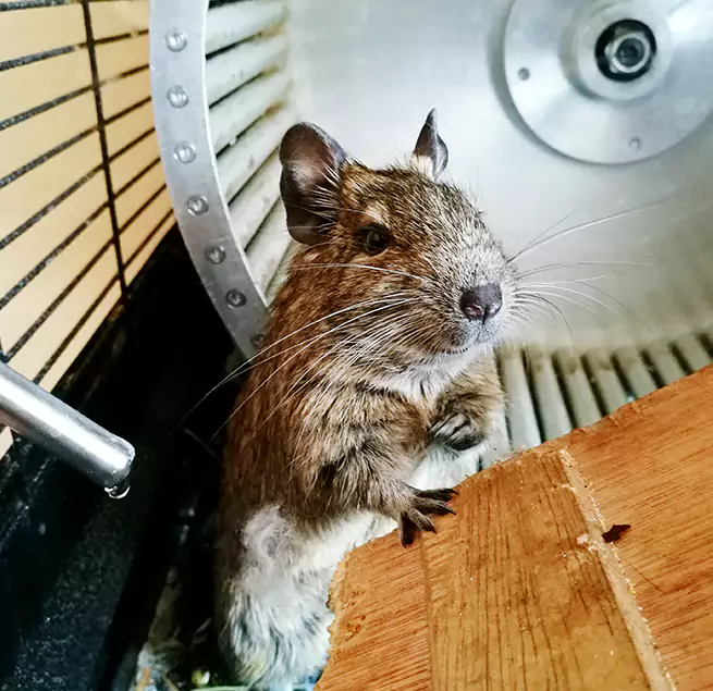 Why Homeowners & Businesses Trust Us Opelousas, LA?