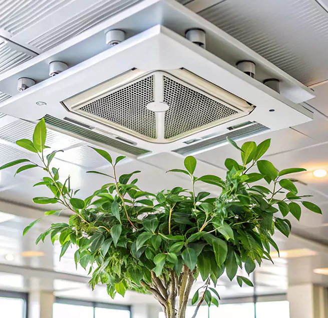 Why Homeowners & Businesses Trust Us in Opelousas, LA?