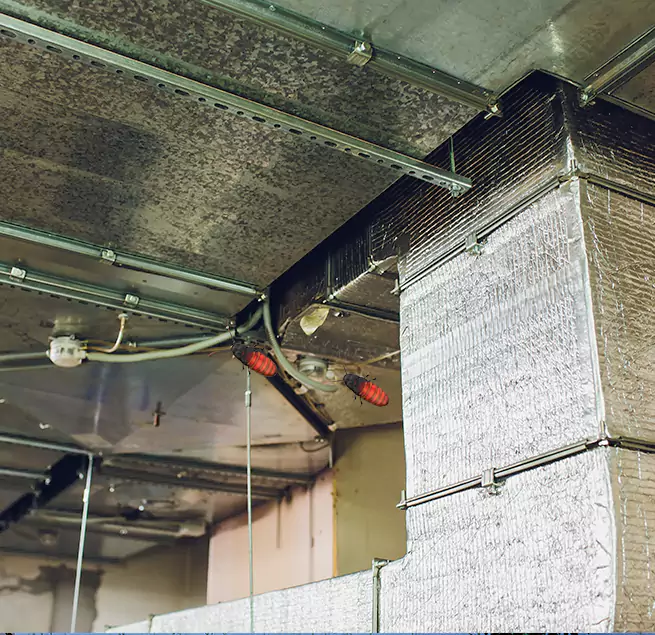 Why Homeowners & Businesses Trust Us Opelousas, LA?