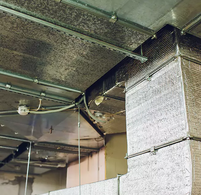 Why Homeowners & Businesses Trust Us in Opelousas, LA?