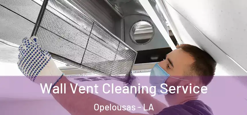 Wall Vent Cleaning Service Opelousas - LA