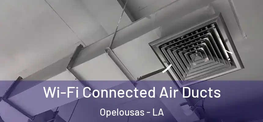 Wi-Fi Connected Air Ducts Opelousas - LA